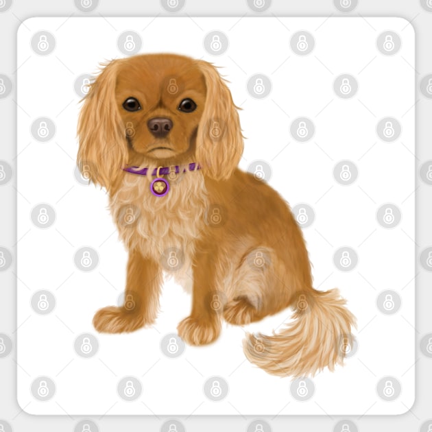 Ruby Cavalier King Charles Spaniel Original Design Sticker by Cavalier Gifts